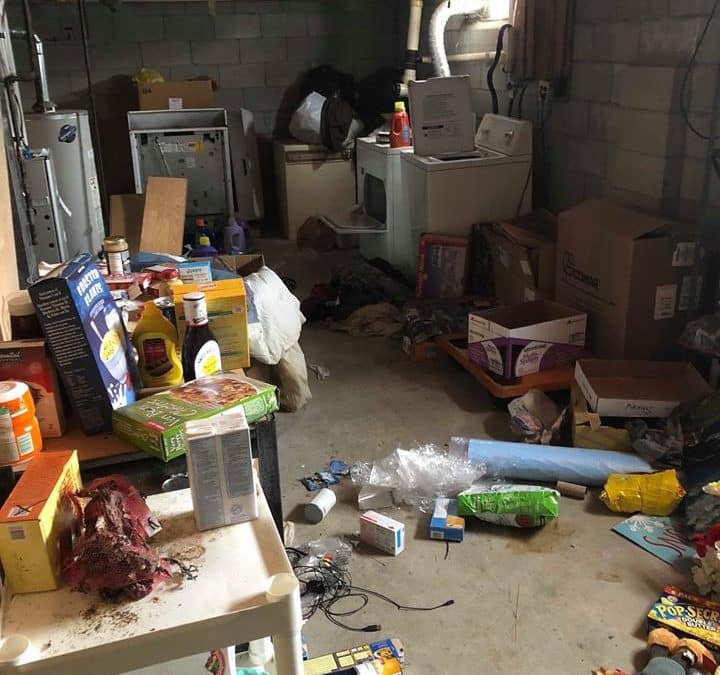 Junk Surprises From Tenants To Landlords