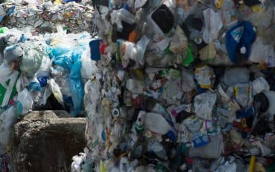 More than half of waste from single use plastics can be traced to 20 companies