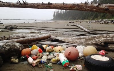 Ten years after Japanese tsunami, B.C. coastal cleanup remains fresh in minds