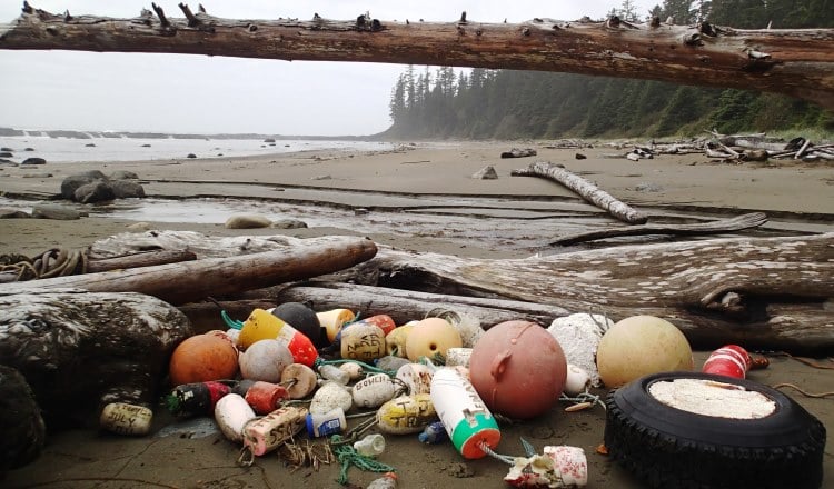 Ten years after Japanese tsunami, B.C. coastal cleanup remains fresh in minds